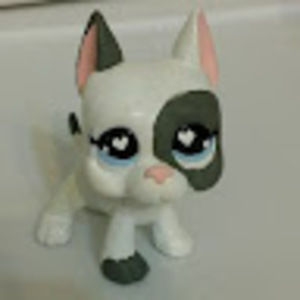 Meet your Posher, Kris